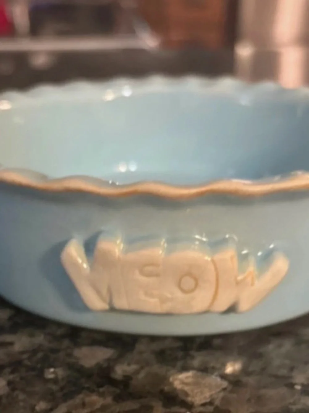 🐾 MEOW! Light Blue Carmel Ceramica Cat Bowl with Scalloped Edge 🐾